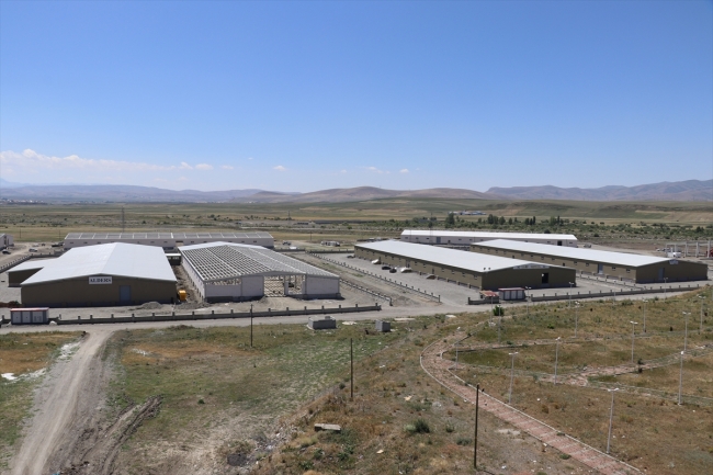 Cumhurbaşkanı Erdoğan'ın müjdelediği fabrikada sona doğru